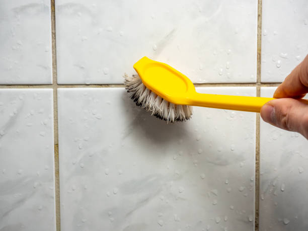 Best Fast Mold Removal  in New Bedford, PA
