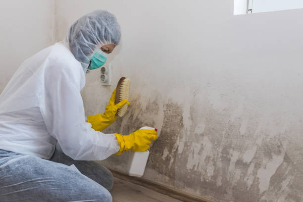 Best Crawl Space Mold Removal  in New Bedford, PA
