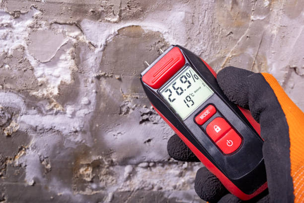 Best Mold Damage Repair  in New Bedford, PA