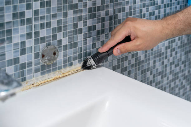 Best Certified Mold Removal  in New Bedford, PA