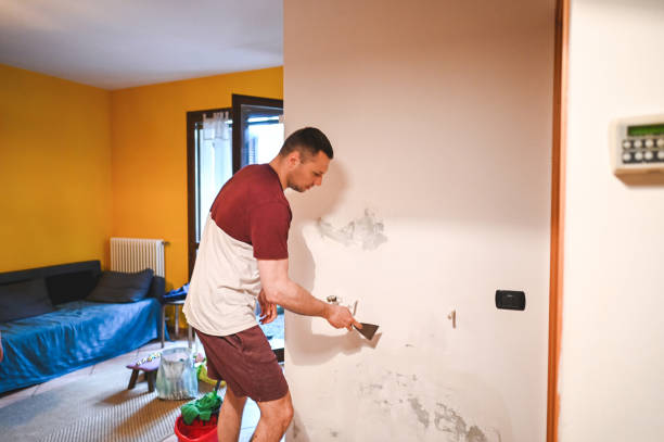 Best Mold Cleaning Services  in New Bedford, PA